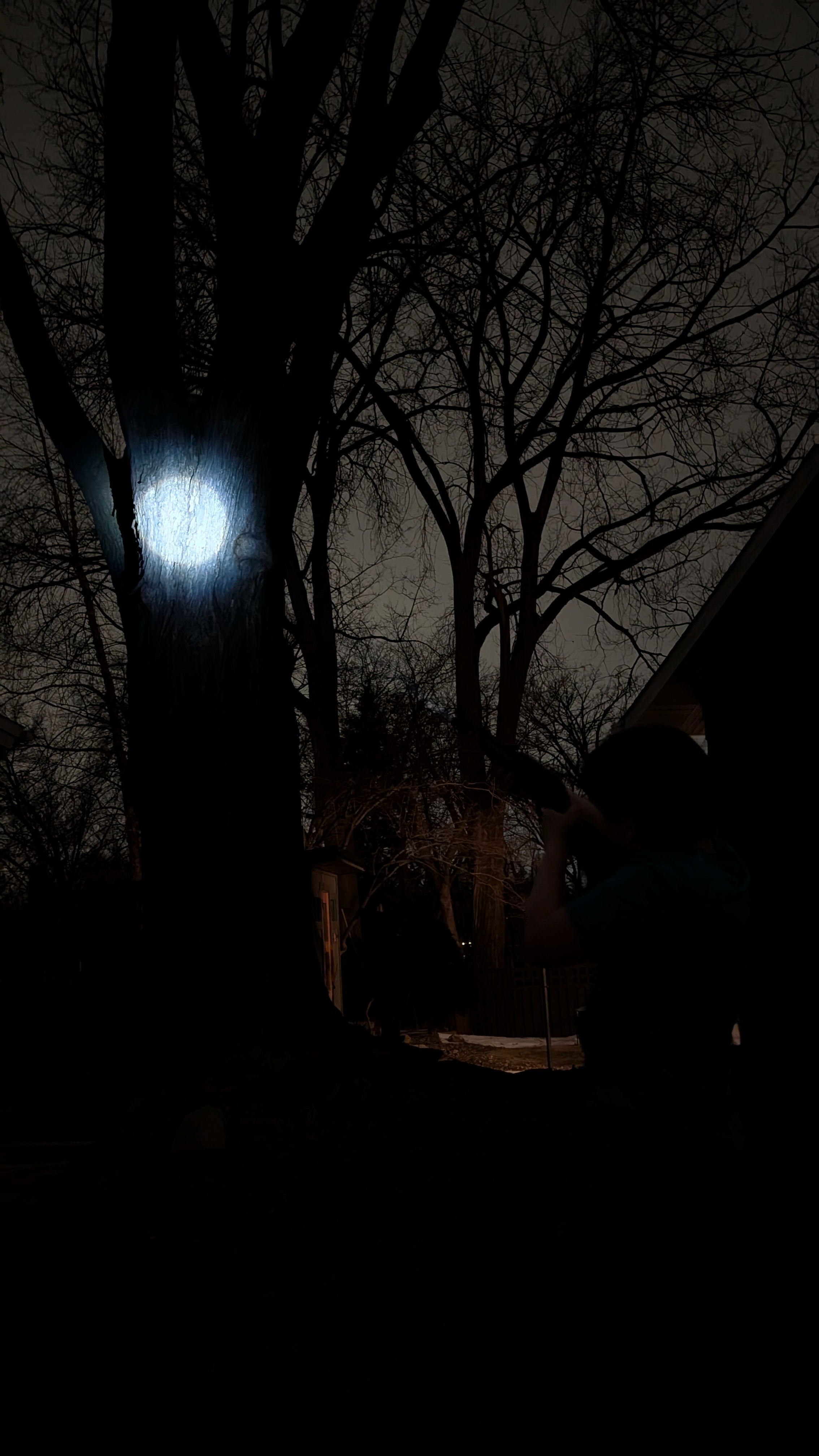 Ruger 10-22 Barrel Mounted Flashlight